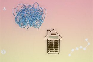 岭南控股:年度关联方资金占用专项审计报告