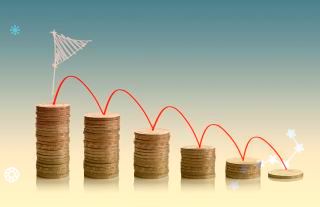 新洁能:2021年年度报告摘要